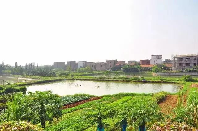 深圳2小时内周边自驾游,深圳爬山看海攻略旅游线路