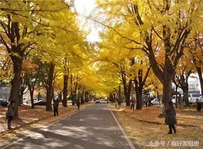 哪些国家已经进杭州了,都有什么国家来杭州