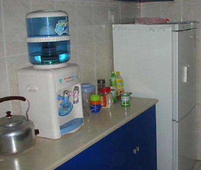 家庭用饮水机有必要买吗,家用饮水机有必要买吗