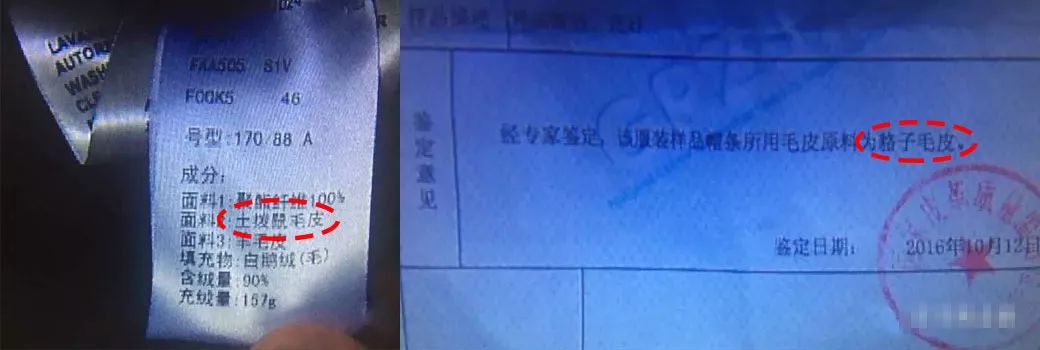 怎样辨别化妆品的真假视频教程,名牌化妆品教学视频
