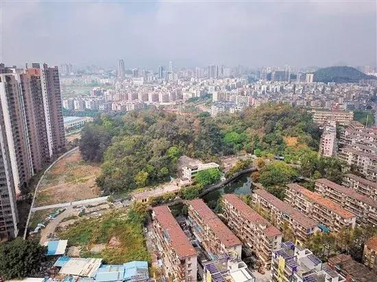 江门市甘化厂地下防空洞,1959年江门甘化厂的原貌