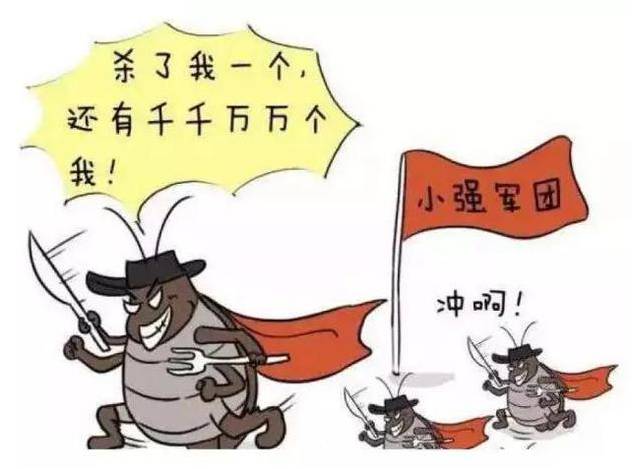 动物界的女儿国,动物世界国王和女儿