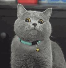 云南泼水节究竟有多疯狂你来不来,泼水节承载了云南人民极大的狂欢