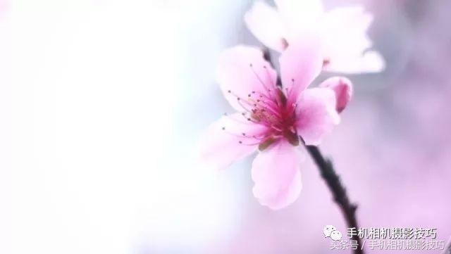 动动手指就能做出美丽的作品,动动手指头就能找到照片的乐趣