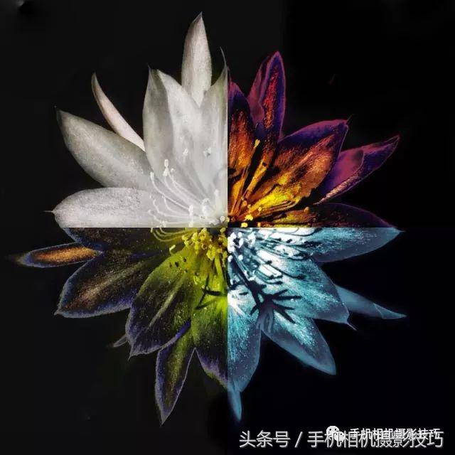 动动手指就能做出美丽的作品,动动手指头就能找到照片的乐趣