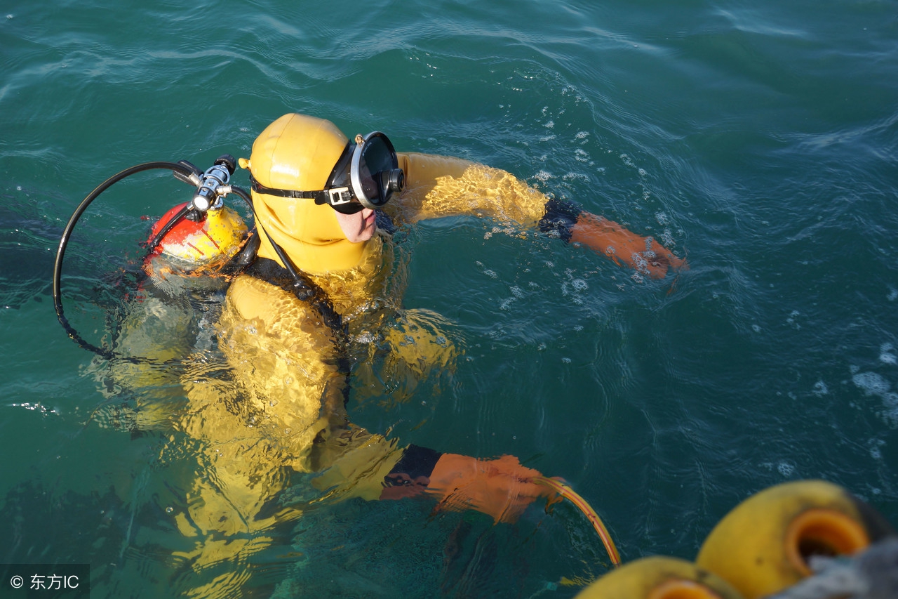 哪种海参价格最高,价格最便宜的海参是哪种