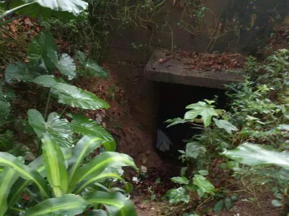 深圳有哪些诡异传说,深圳大学鬼楼传说