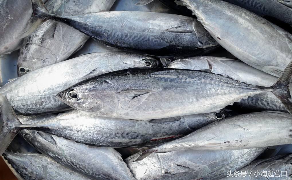 营口市的特点美食,辽宁美食篇营口市最具特点的美食