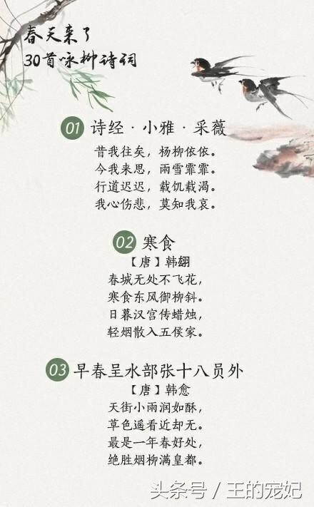 咏柳经典诗词100首,贺知章描述春天柳树的诗句