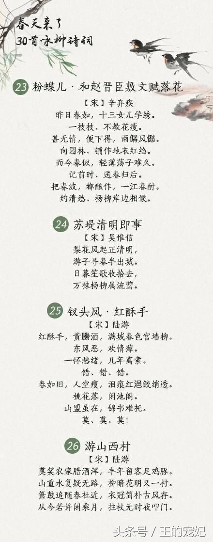 咏柳经典诗词100首,贺知章描述春天柳树的诗句