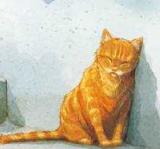 流浪猫鲍勃真实事件改编超感人,流浪猫鲍勃故事梗概