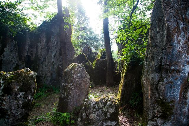 广安华蓥瀑布景区,四川华蓥山石林