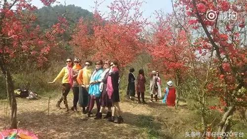 阿姨们照相带7条丝巾上热搜，网友大军忍不住晒出自家妈妈