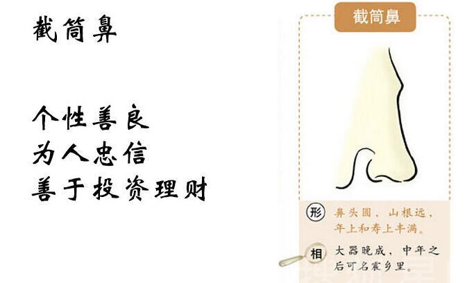 富贵鼻型面相图解大全,面相中的十大鼻型你属于哪种呢