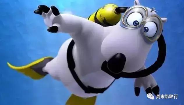 英语启蒙早教0-6岁动画片鸭子英语,水果英语启蒙早教0-6岁儿童动画片