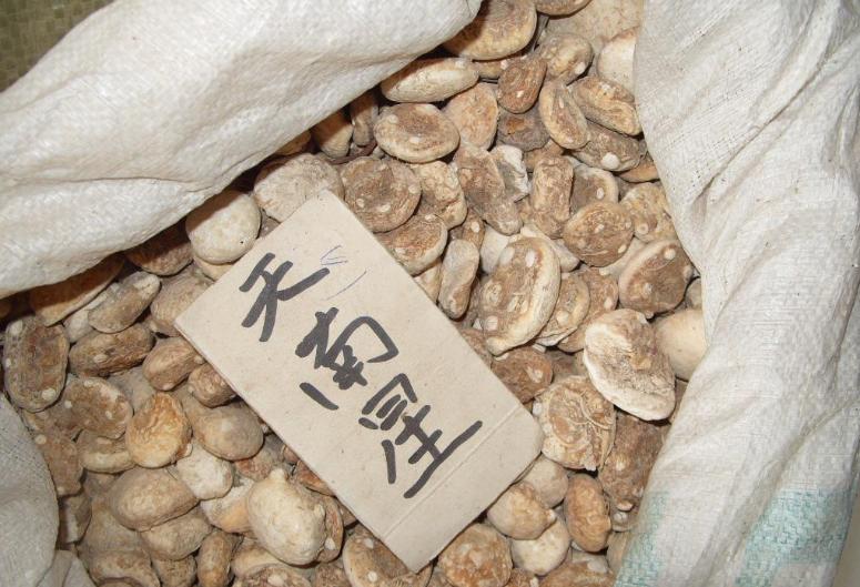 每个月份适合种植什么中药材,中药材种植九月份可种的中药材