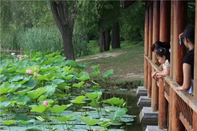 春暖花开微风吹来,春暖花开吹来阵阵花香