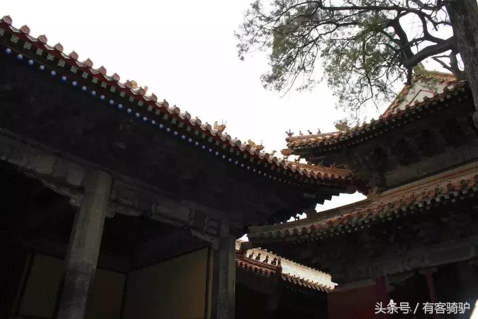 曲阜三孔孔府孔庙孔林二日游,曲阜孔庙孔府孔林自助游详尽攻略