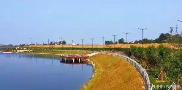 西安免费踏青赏花好去处,春天西安适合踏青的地方