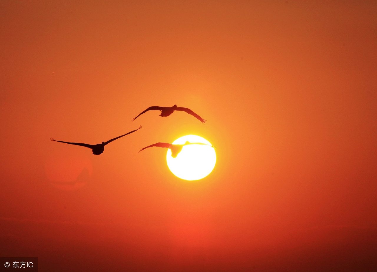 长篇故事《楼上的高跟鞋》胆小勿入！