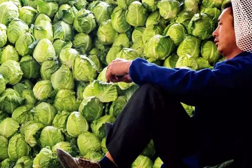 农产品众筹怎么做推广赚钱,众筹农产品流程