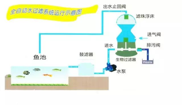 养鱼池净化水质的设备详细过程,养鱼池水质净化设备