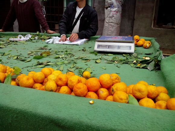 水果生意的技巧,如何做水果生意视频