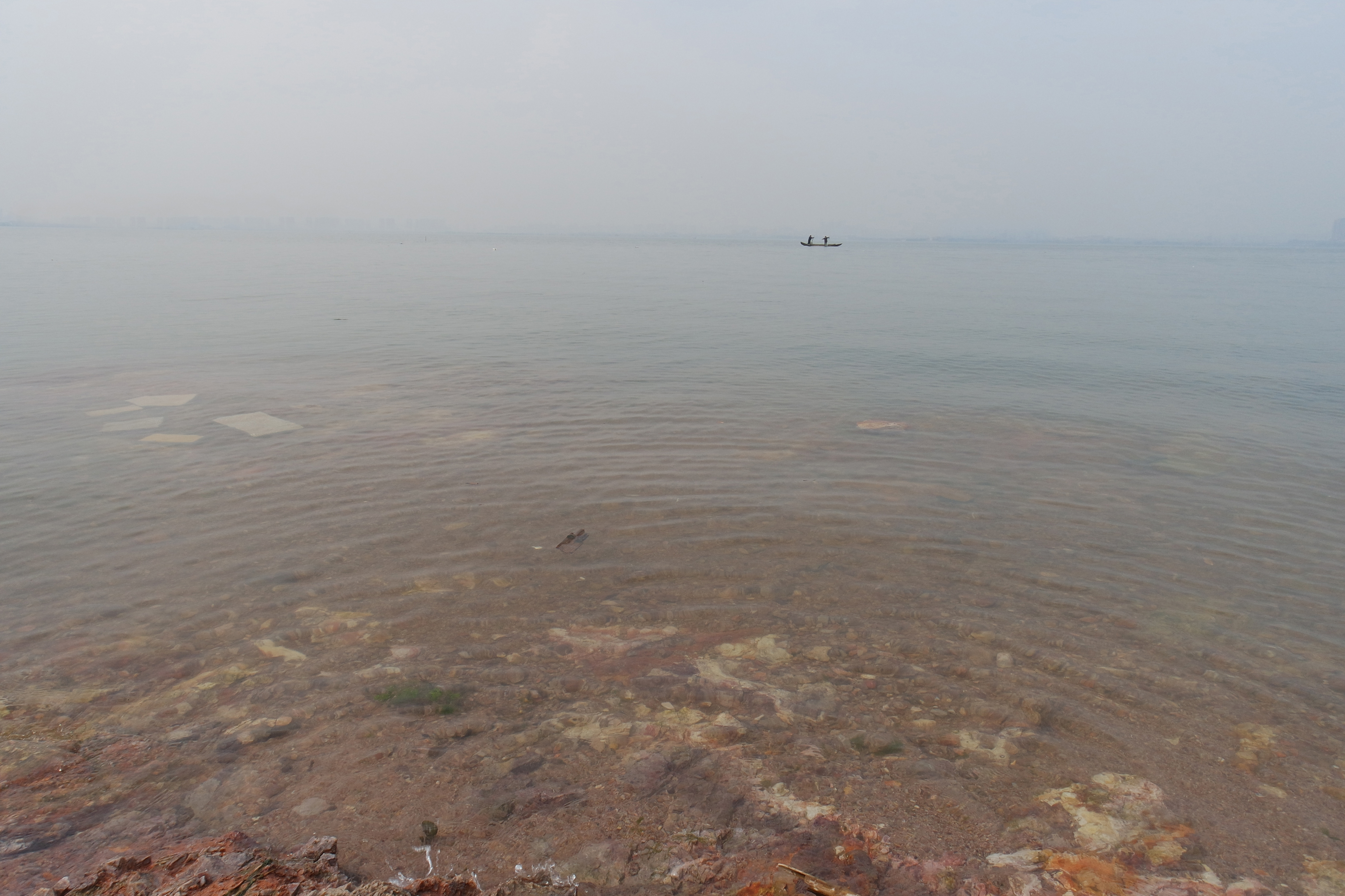 武昌理工学院樱花,武昌理工学院滚烫的青春