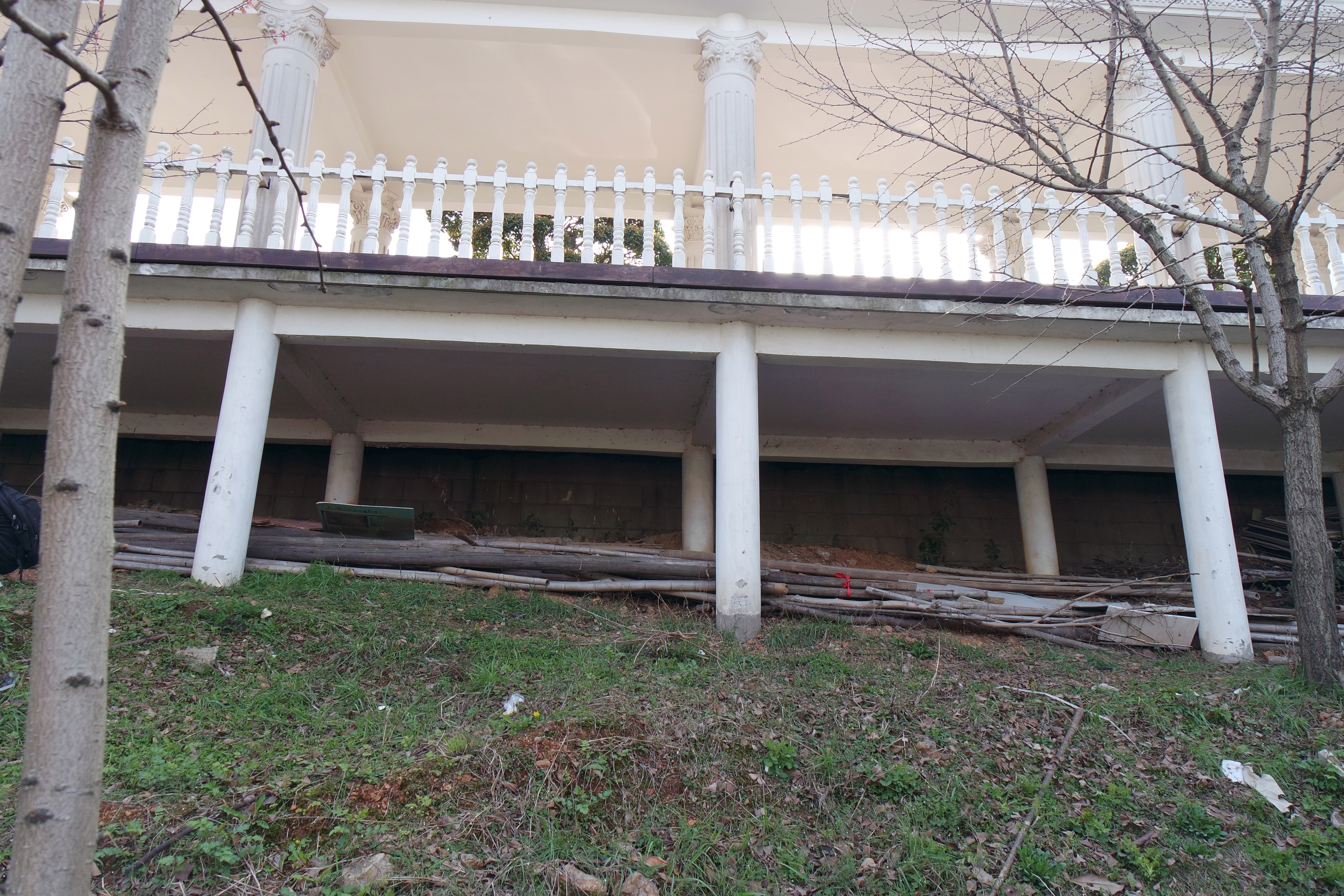 武昌理工学院樱花,武昌理工学院滚烫的青春