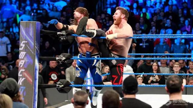 wwe美国职业摔角十大禁用招式,wwe摔角最新消息