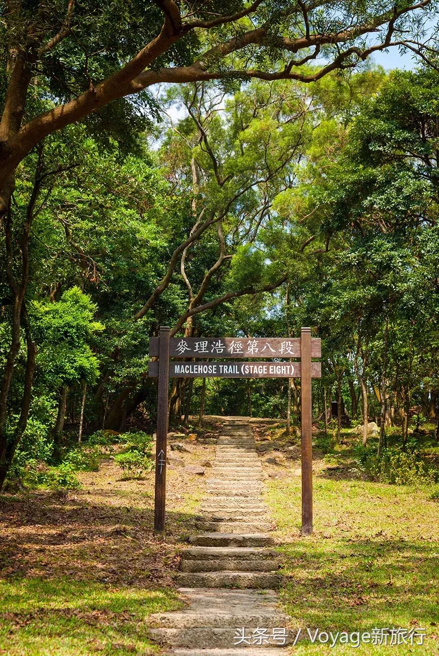 香港除了迪士尼还能去吗,香港除了迪士尼还有什么好玩的