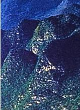 山海经雕塑大全,山海经公园雕像介绍