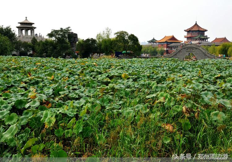 杨业抗辽地点,天波杨府杨业是谁