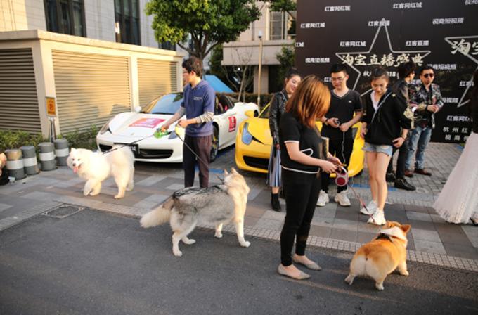 从零开始做淘宝到年入百万,淘宝年入百万方法