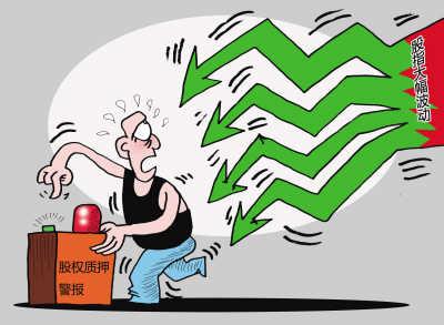 股权质押的有关司法解释,股权质押情况说明