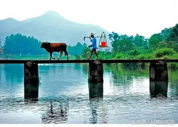 描绘田园生活好的古诗词,有关归隐田园的唐诗宋词