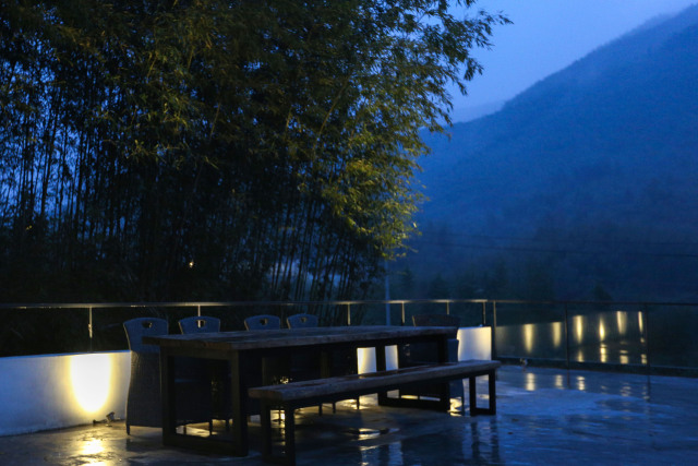 我的名字叫：鱼缸