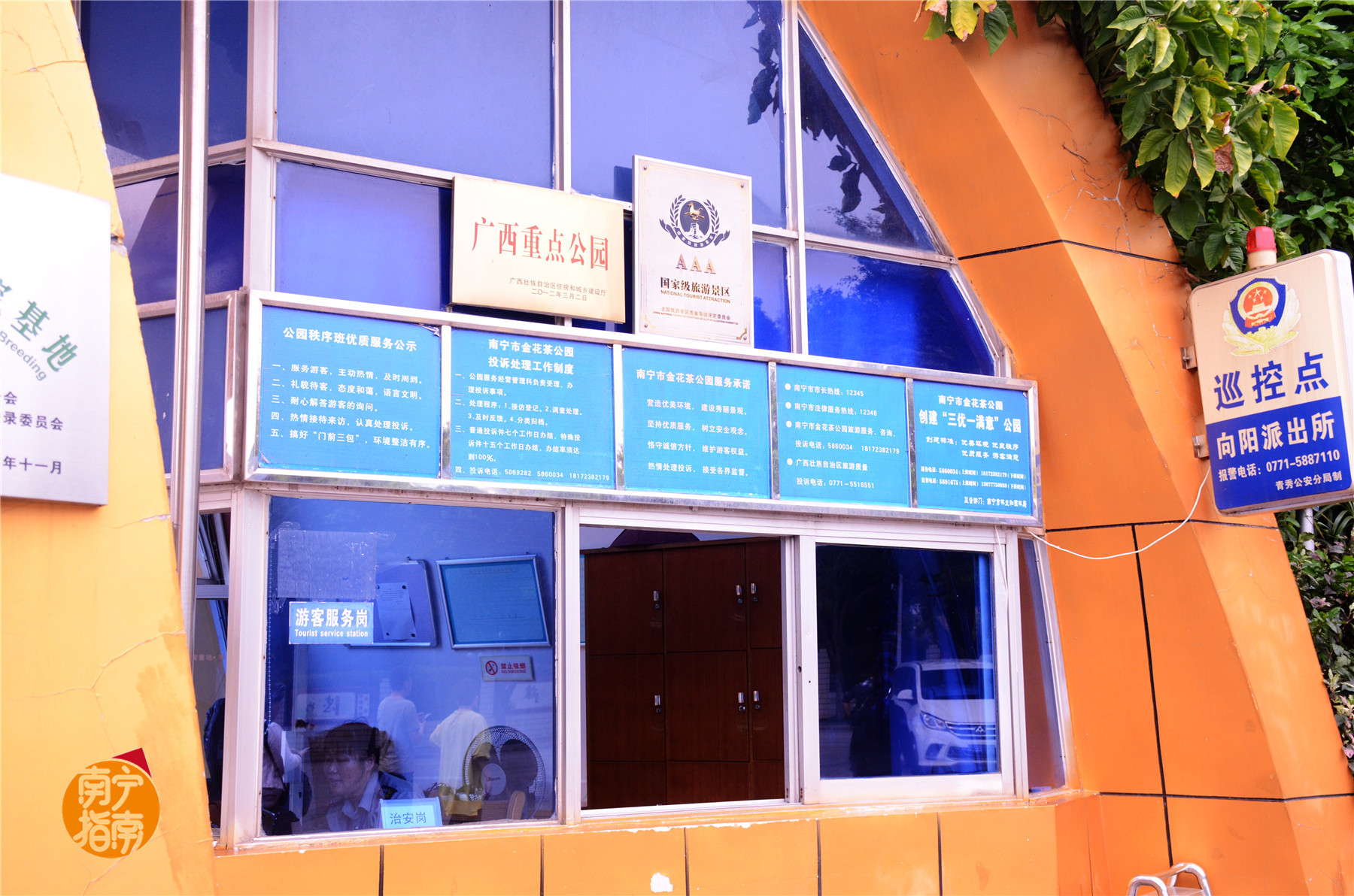 金花茶公园景点,走进金花茶公园