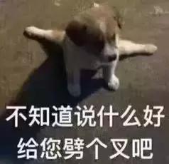 看完我妈拍的春游照片，我跟我爸都哭了……