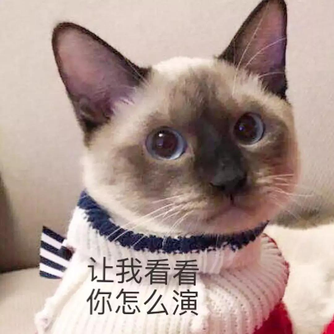 搞这么大阵仗什么意思,搞这么大阵仗用广东话怎么说