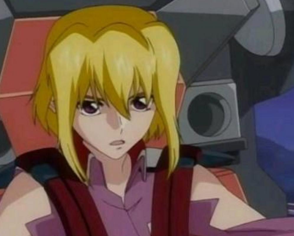 seed三大便当女神,机动战士高达seed便当三姐妹