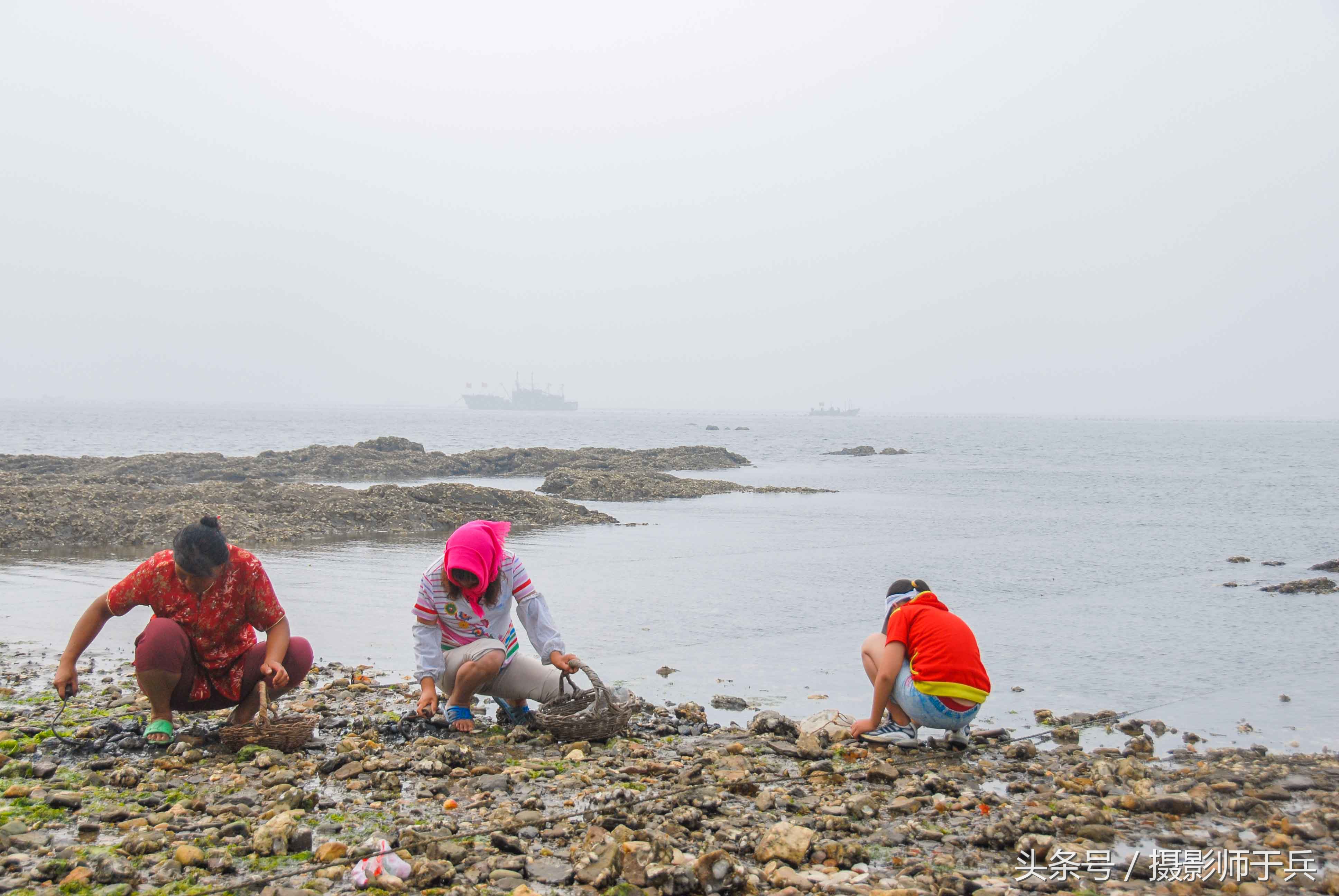 世外桃源乌鱼,大连长海县瓜皮岛