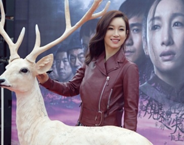 孙俪殷桃对比,殷桃孙俪奖项