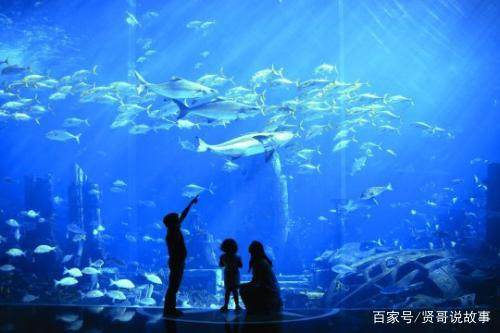 迪拜还有哪些地方好玩,迪拜一定要去的景点