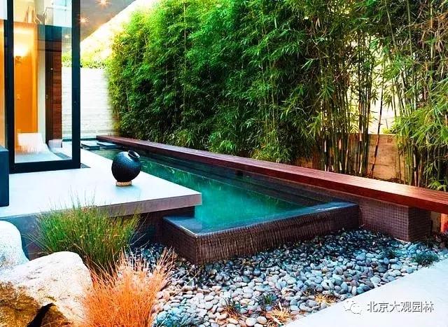 北方南边花园庭院种什么花好,北方庭院种葡萄适合哪个品种