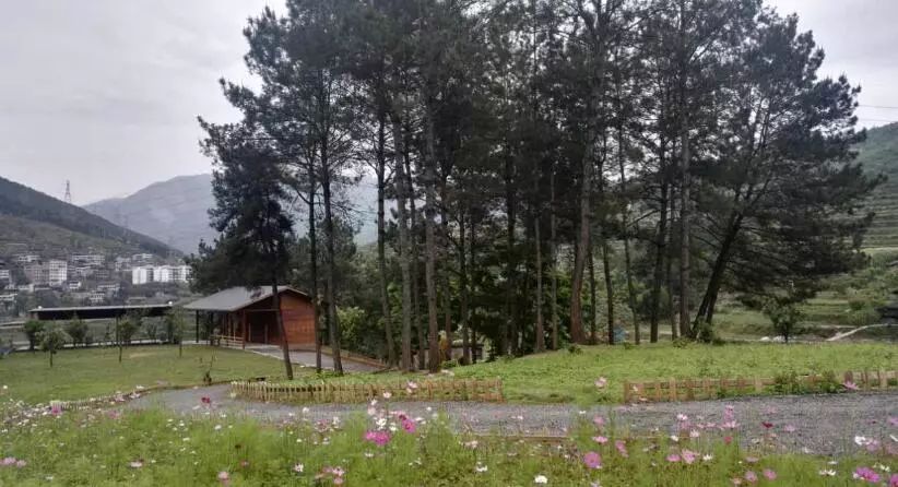 重庆风景让人一看心旷神怡的地方,秋日游重庆这里的景色别样好