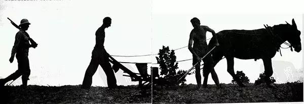 二战德军后期投降视频,假如你是二战德国坦克兵