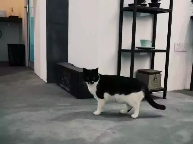 长沙很有名的咖啡馆,湖南长沙网红打卡地咖啡店