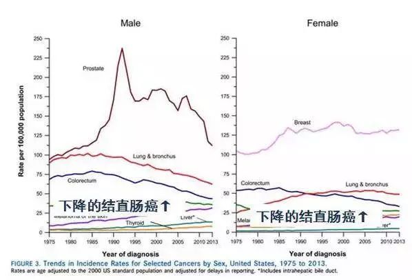 肿瘤防治周胃癌宣传视频,肠胃肿瘤发病率中美差距
