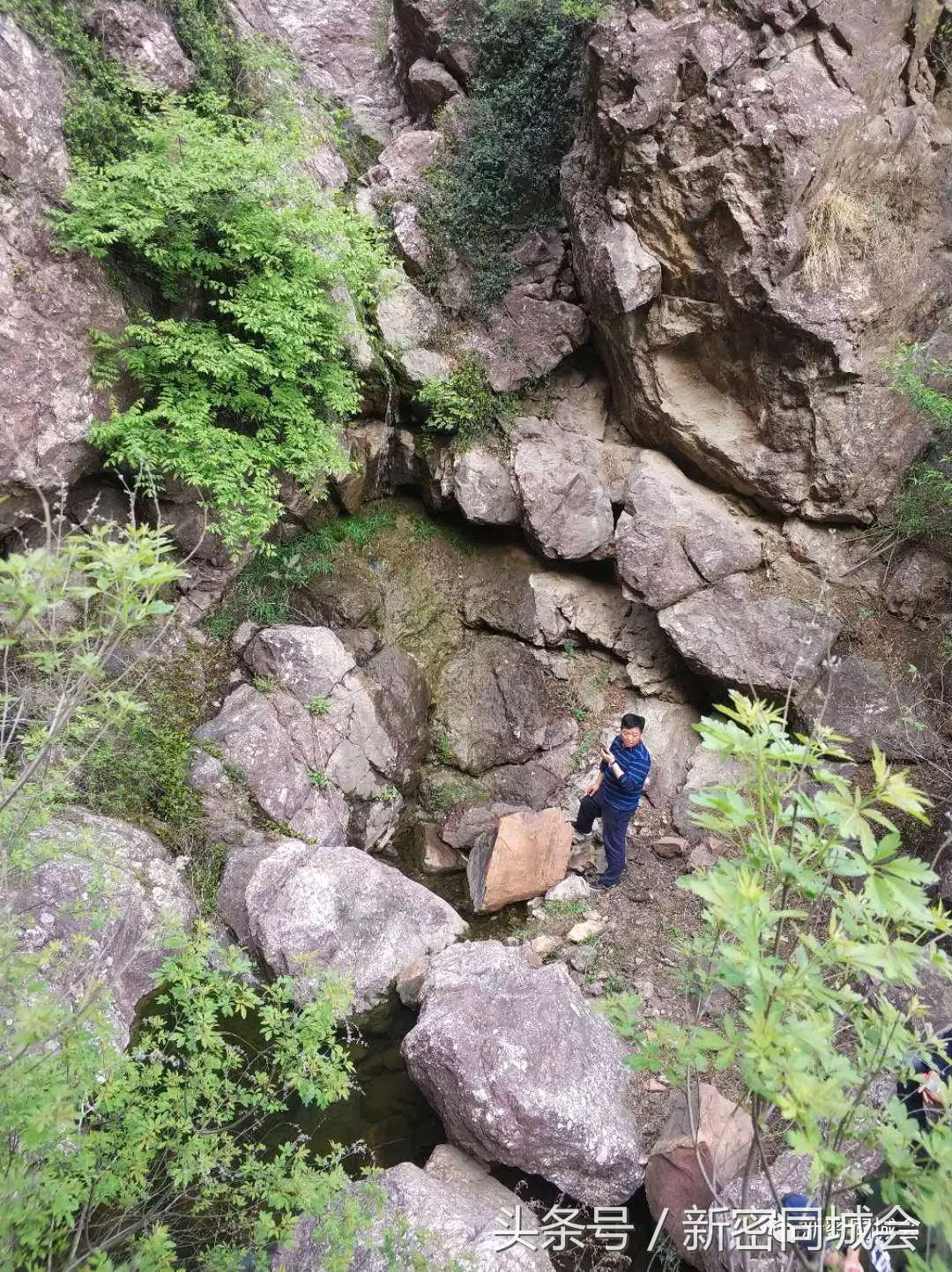 新密市九里山风景区摘槐花,新密超化九里山槐花林